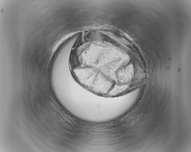 X0000052641214200507221807