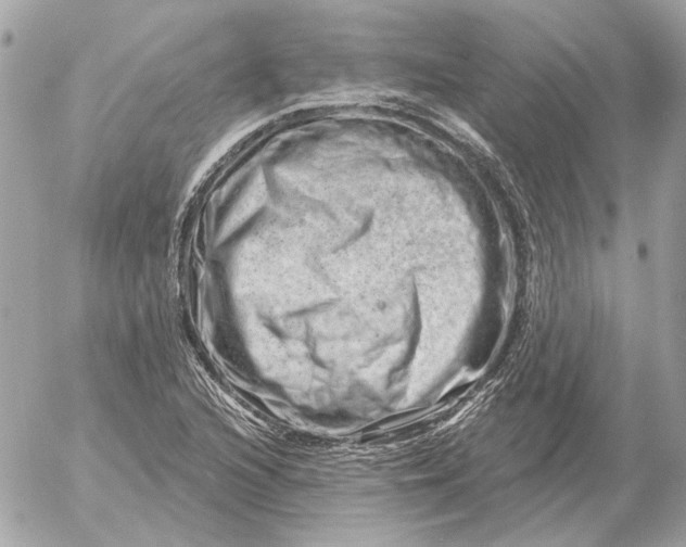 X0000052641216200507221807