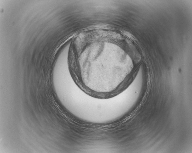 X0000052641217200507221807