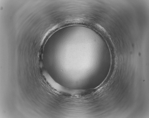 X0000052641218200507221807