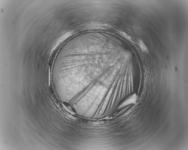 X0000052641219200507221807