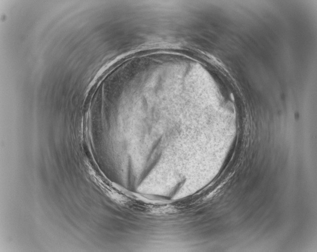 X0000052641220200507221807