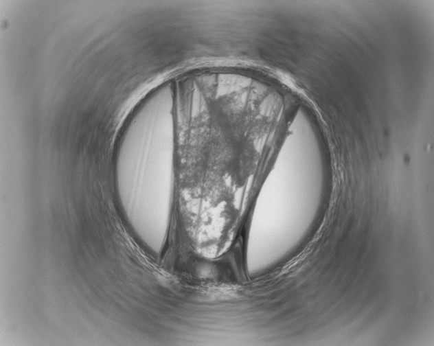 X0000052641221200507221807