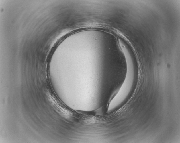 X0000052641222200507221807