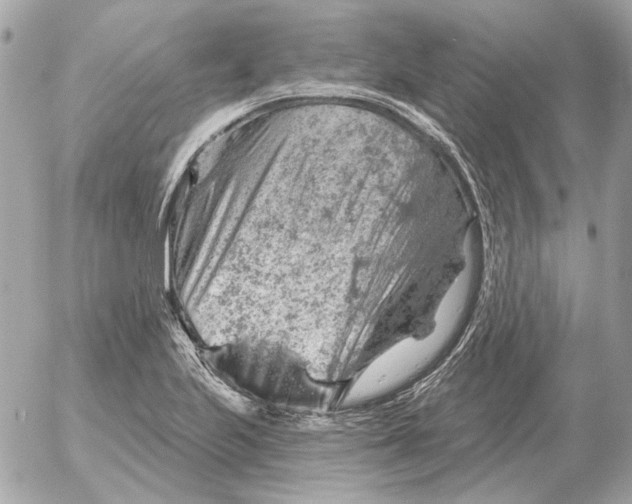 X0000052641223200507221807