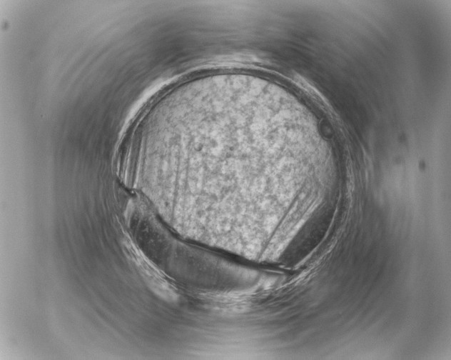 X0000052641224200507221807