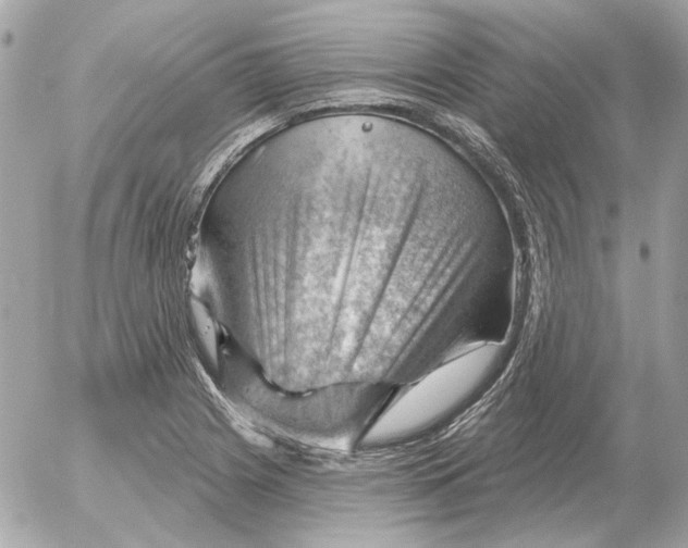 X0000052641225200507221807