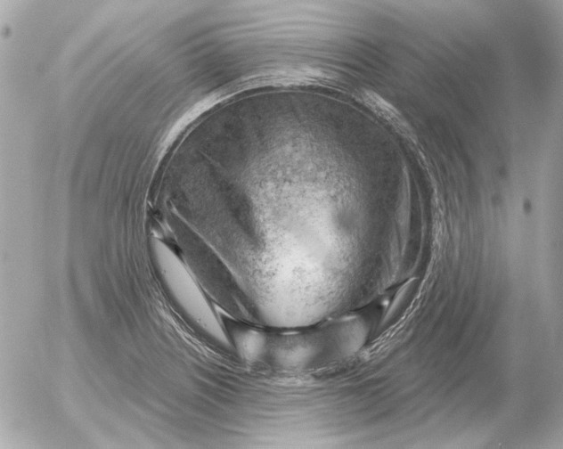 X0000052641226200507221807