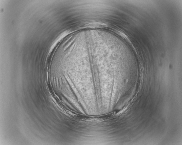 X0000052641227200507221807