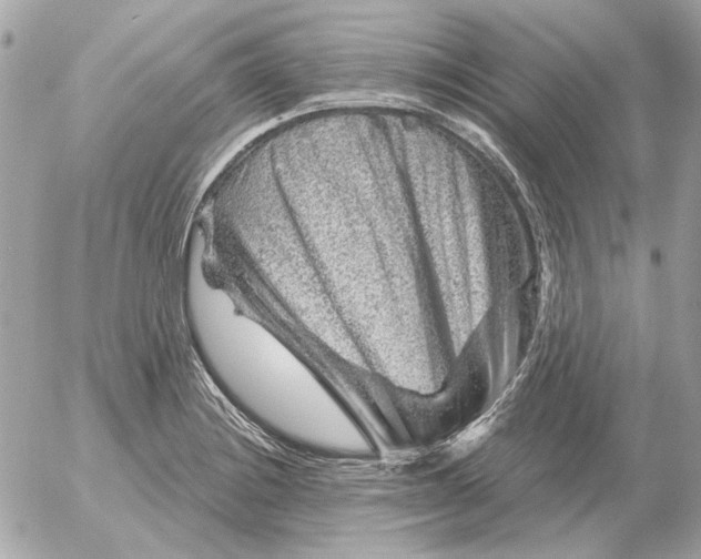 X0000052641228200507221807