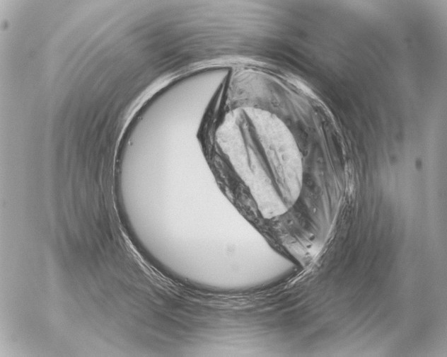 X0000052641229200507221807