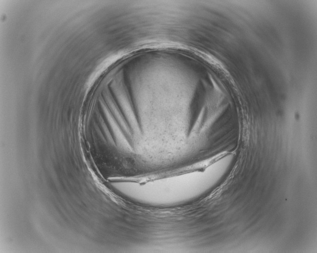 X0000052641231200507221807