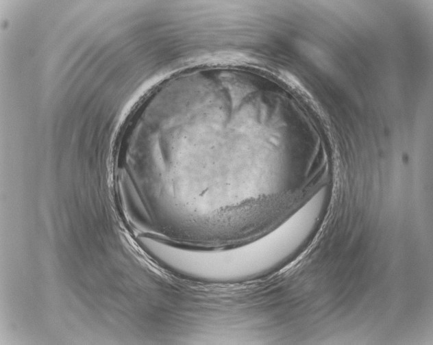 X0000052641232200507221807