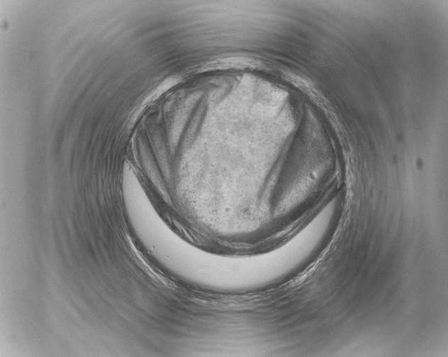 X0000052641233200507221807