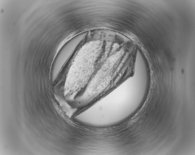 X0000052641234200507221807