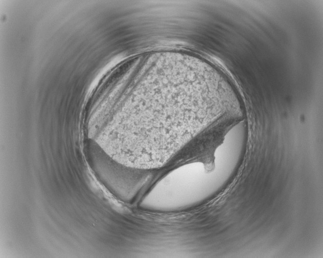 X0000052641235200507221807