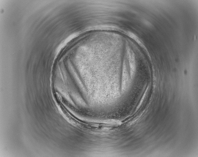 X0000052641237200507221807