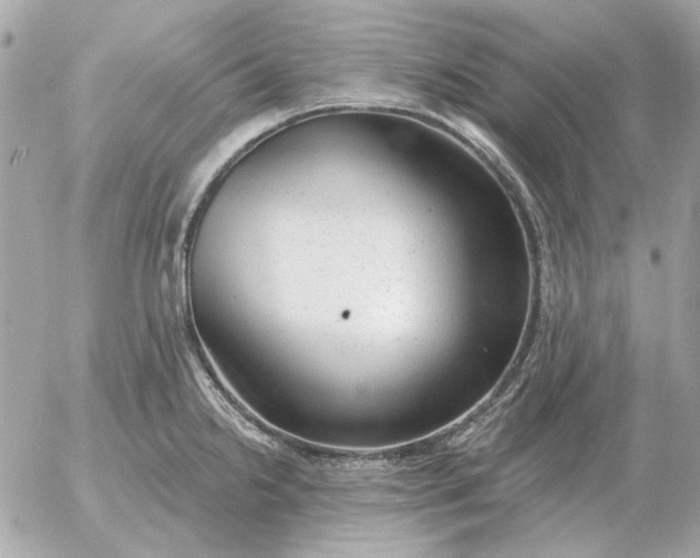 X0000052641238200507221807