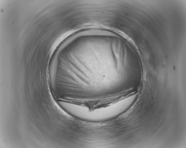 X0000052641239200507221807