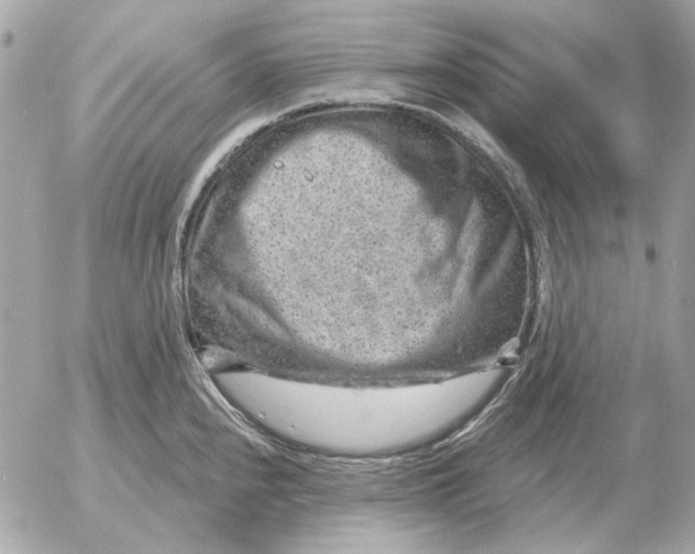 X0000052641240200507221807