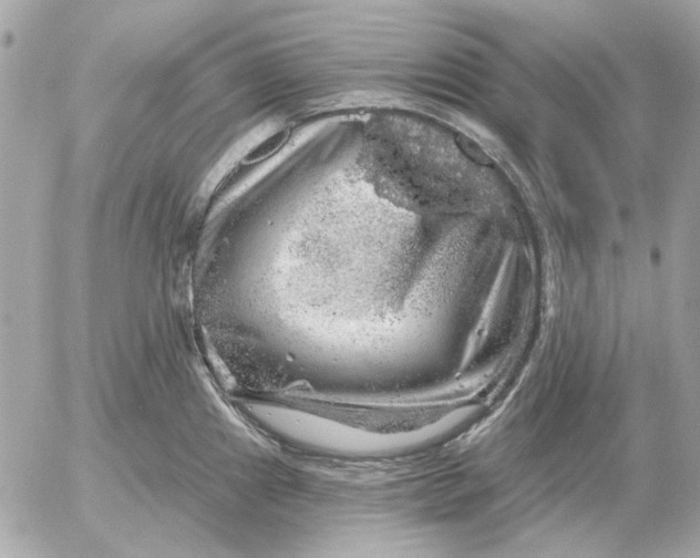 X0000052641241200507221807