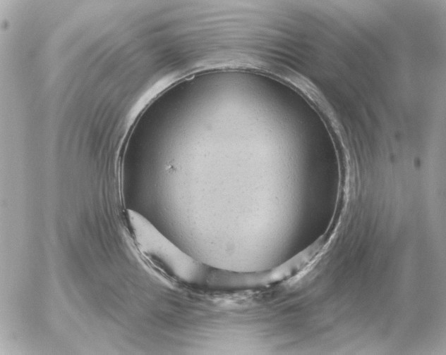 X0000052641242200507221807