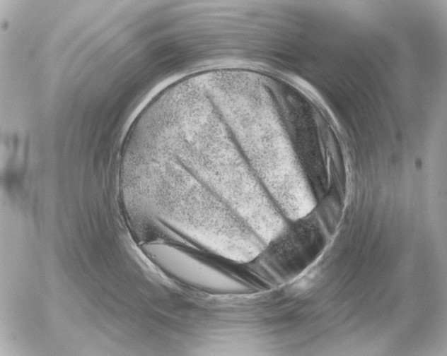 X0000052641244200507221807