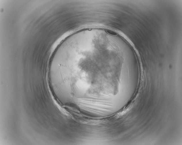 X0000052641245200507221807