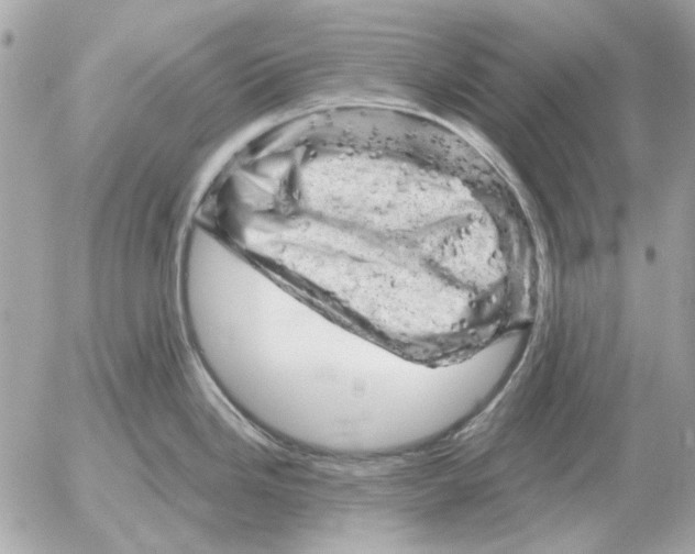 X0000052641246200507221807