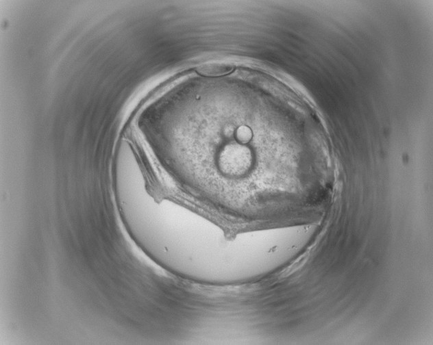 X0000052641247200507221807