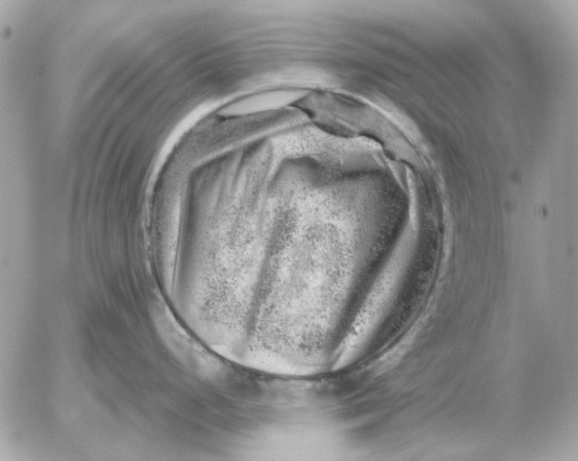 X0000052641248200507221807