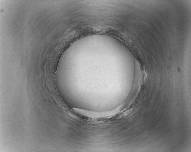 X0000052641249200507221806