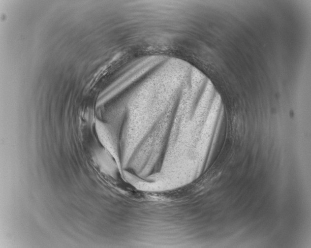 X0000052641250200507221806