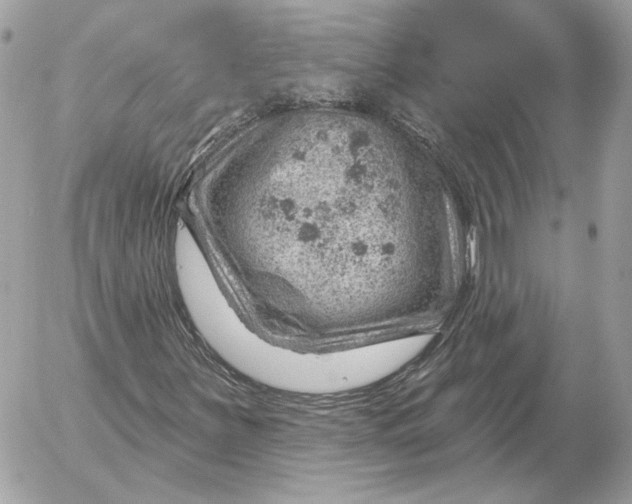 X0000052641251200507221806