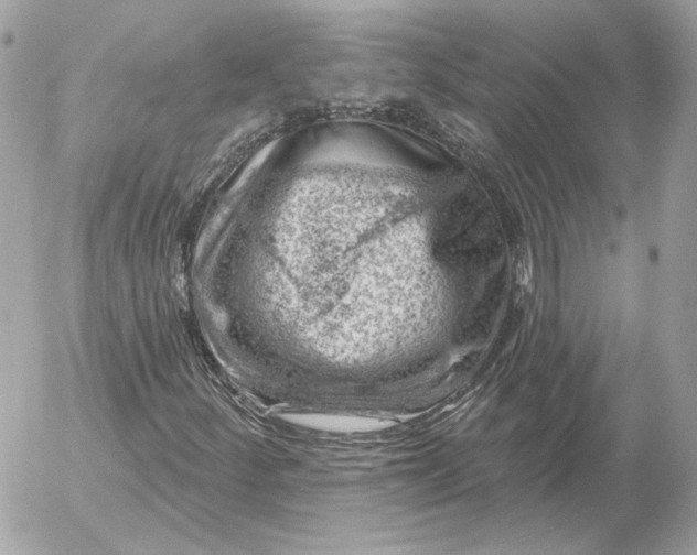 X0000052641252200507221806