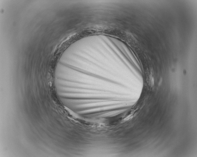 X0000052641253200507221806