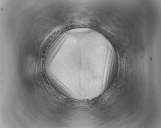 X0000052641254200507221806