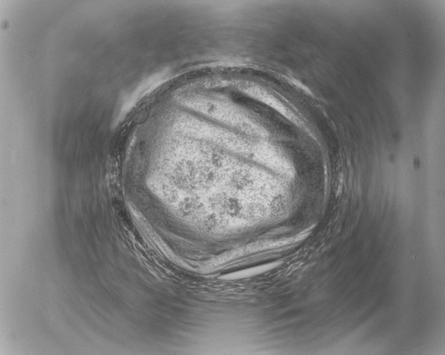 X0000052641255200507221806