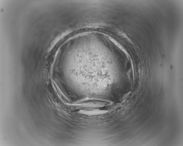 X0000052641256200507221806