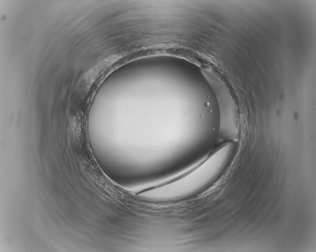 X0000052641257200507221806