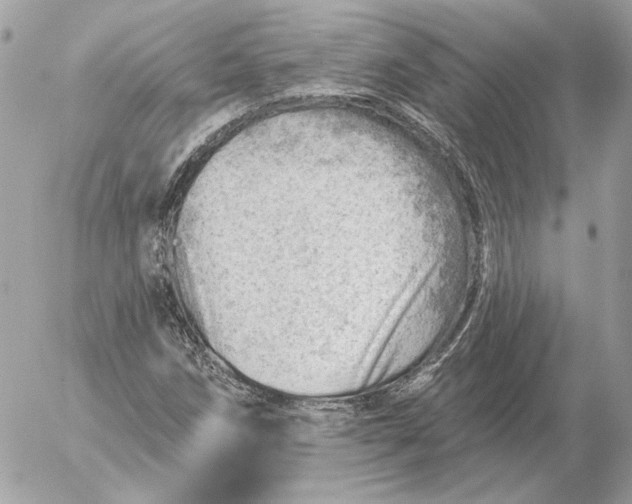 X0000052641258200507221806