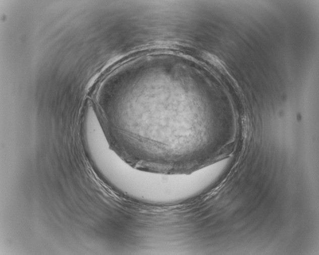 X0000052641260200507221806