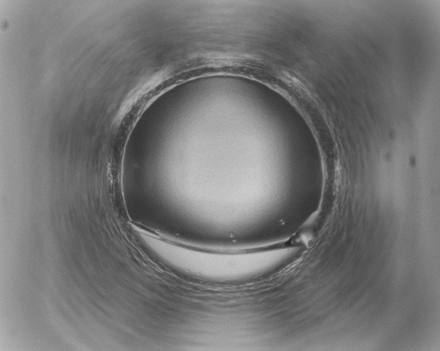 X0000052641261200507221806