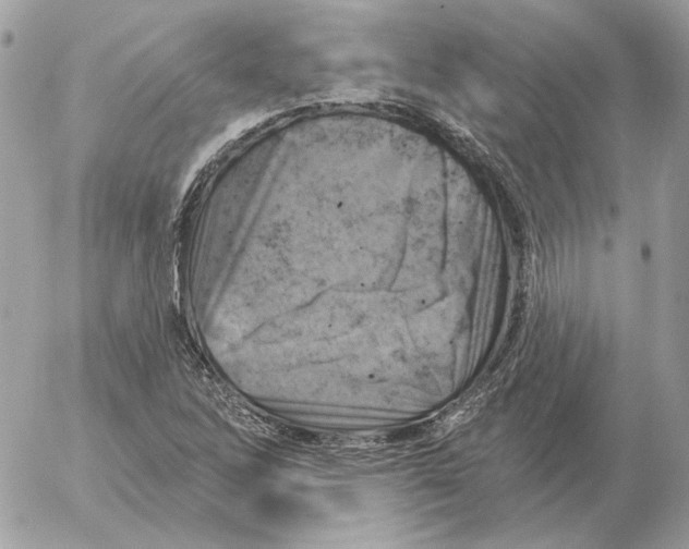 X0000052641262200507221806