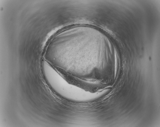 X0000052641264200507221806