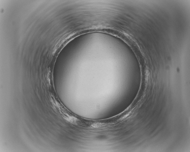 X0000052641265200507221806