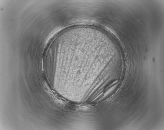 X0000052641267200507221806