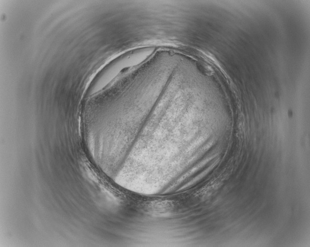 X0000052641268200507221806