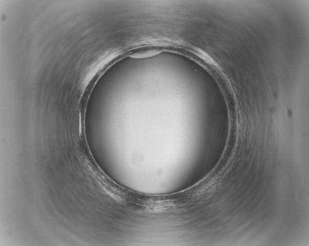 X0000052641269200507221806