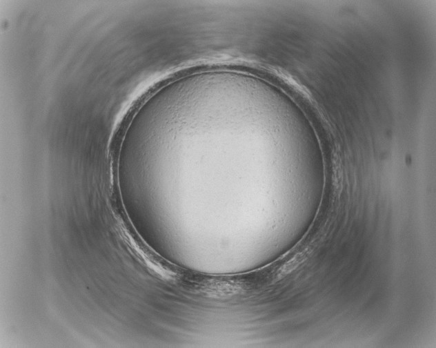 X0000052641270200507221806